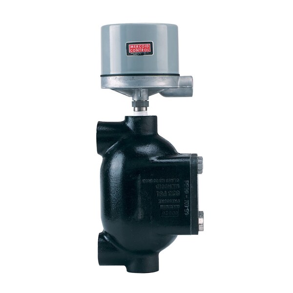 Dwyer Instruments Flanged chamber type level control, SPDT snap switch. 102-WT-7810-C-60 - main